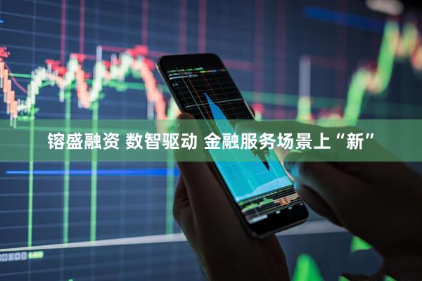 镕盛融资 数智驱动 金融服务场景上“新”