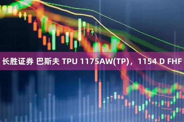 长胜证券 巴斯夫 TPU 1175AW(TP)，1154 D FHF