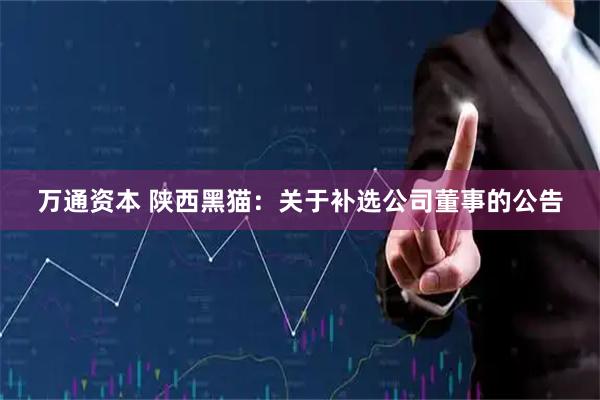 万通资本 陕西黑猫：关于补选公司董事的公告