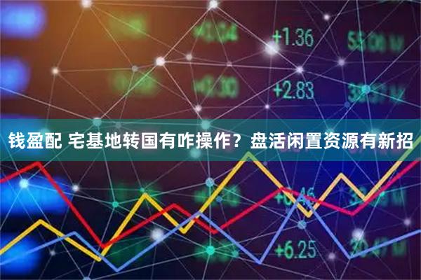 钱盈配 宅基地转国有咋操作？盘活闲置资源有新招