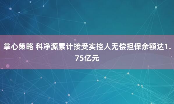 掌心策略 科净源累计接受实控人无偿担保余额达1.75亿元