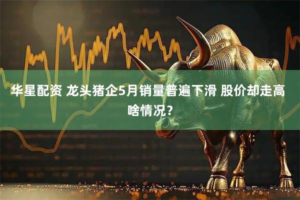 华星配资 龙头猪企5月销量普遍下滑 股价却走高 啥情况？
