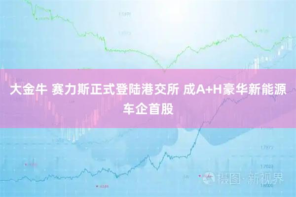 大金牛 赛力斯正式登陆港交所 成A+H豪华新能源车企首股