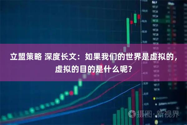 立盟策略 深度长文：如果我们的世界是虚拟的，虚拟的目的是什么呢？