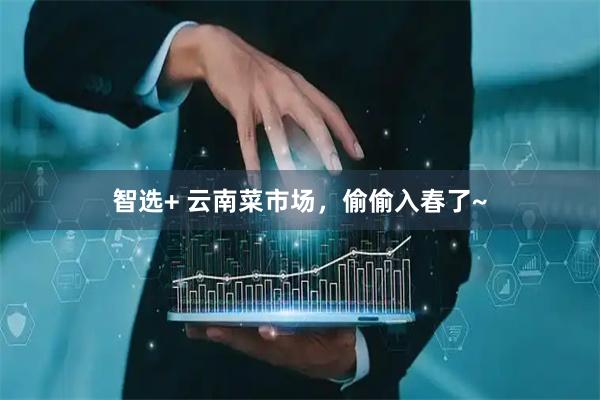 智选+ 云南菜市场，偷偷入春了~