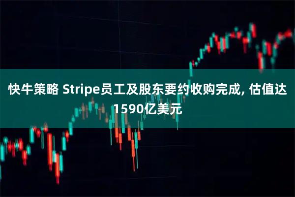 快牛策略 Stripe员工及股东要约收购完成, 估值达1590亿美元