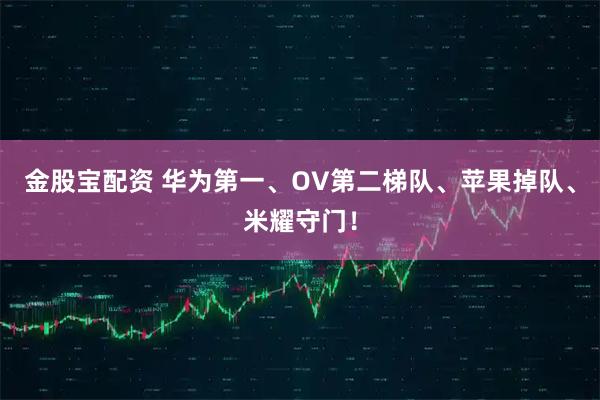 金股宝配资 华为第一、OV第二梯队、苹果掉队、米耀守门！