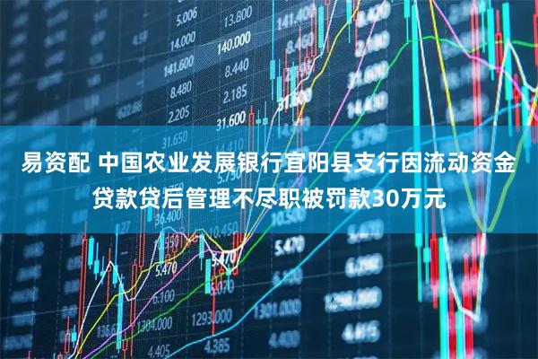 易资配 中国农业发展银行宜阳县支行因流动资金贷款贷后管理不尽职被罚款30万元