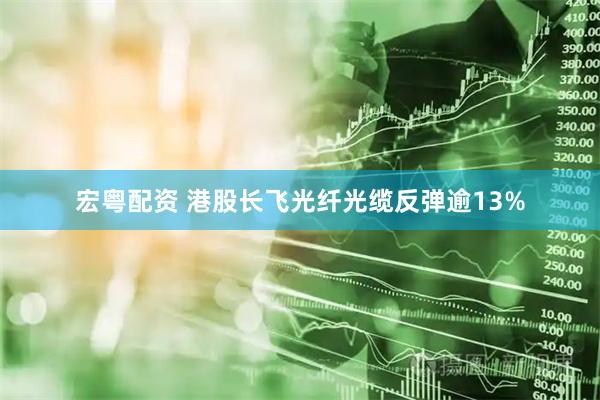宏粤配资 港股长飞光纤光缆反弹逾13%